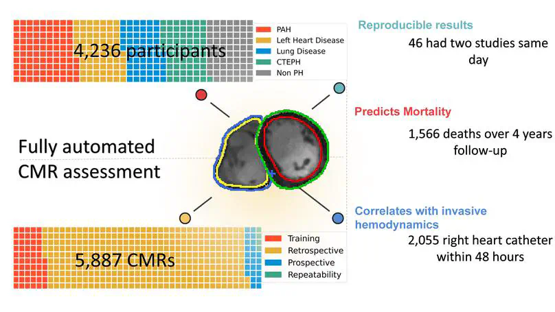 Validation of Artificial Intelligence Cardiac MRI Measurements: Relationship to Heart Catheterization and Mortality Prediction