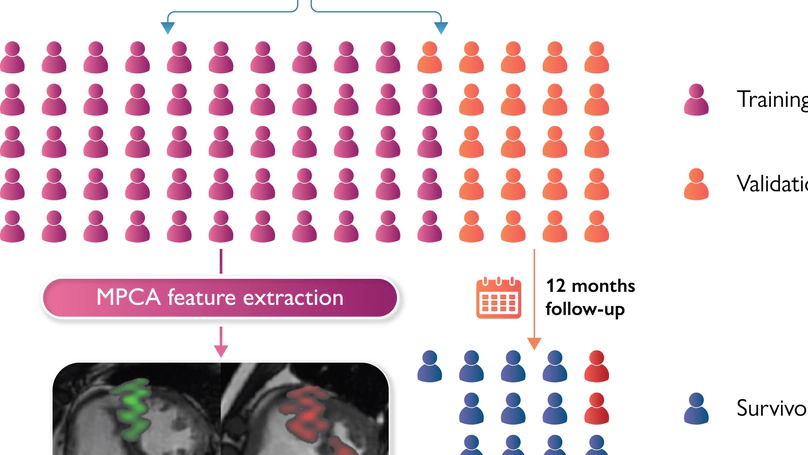Machine learning cardiac-MRI features predict mortality in newly diagnosed pulmonary arterial hypertension